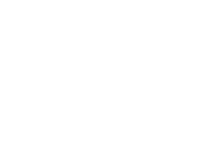 hana-logo-branco