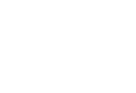 logo-executivosdesucesso.png