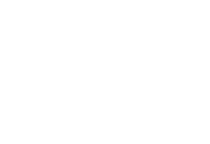 logo-write-mariotti